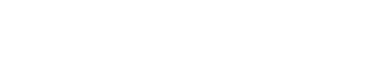 LincolnInternational-Logo-BW.png
